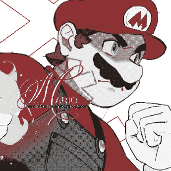 stellareroe's profile picture. 