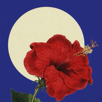 laurine_243's profile picture. gabrielle-séraiah / kongolia muyaka / #CongoIsBleeding