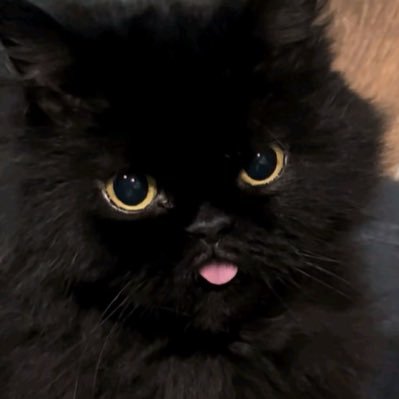 zevenlatee's profile picture. INFP-T | college of music mu. | มือกีตาร์พเนจร