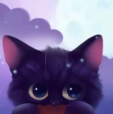 dkyoshi86's profile picture. Follow 4 a follow. God Bless. John 3:16 I hope 1 get to meet Ashley Perkins. I ❤️ her. She is the most beautiful woman in the world.