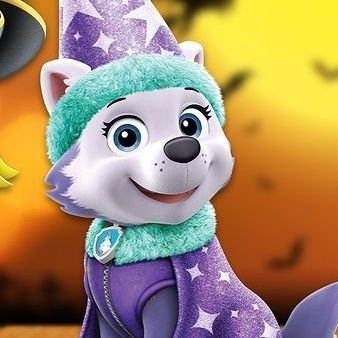 OneSnowyPup_'s profile picture. Hello my name is Everest, I'm the snow pup from the Paw Patrol! I love liver flavored treats!