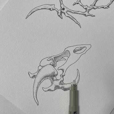 Amarrqq's profile picture. 旅の合間に静かに思考を整える時間が好き。人生の方向を少しずつ澄ませていく。