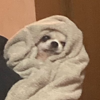 kirishima_cider's profile picture. 短歌をやります。見てて頂戴！   https://t.co/Tni0gmcgTZ