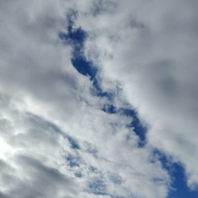 boyka536718's profile picture. 