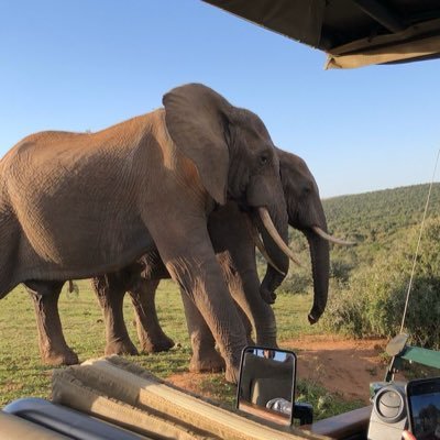 manjay888's profile picture. SELLER OF ALL Types of GAY ZOOPHILIA videos….New videos  uploaded on my Channel 👉 https://t.co/eJQlUzl4Q0 👈 to subscribe