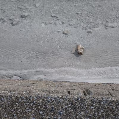 EtgBHOVxgw57353's profile picture. 