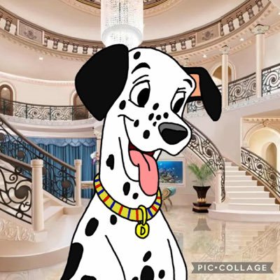 ColoradoDalmati's profile picture. Howdy, my name is Denver, I was born in Denver, Colorado, but I lived in Scotland, now with my brother Dash, my sister Sage and my other sister @MotherlyDaisy