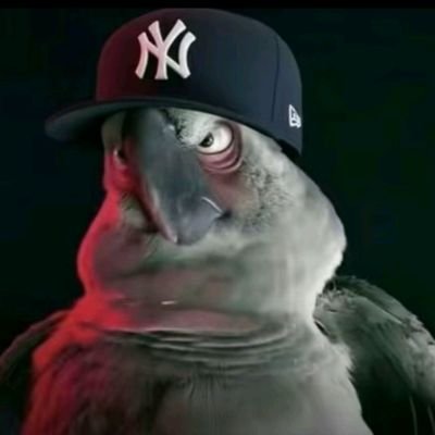 Easymoneyiso's profile picture. God First

Rec League Champ(4x)