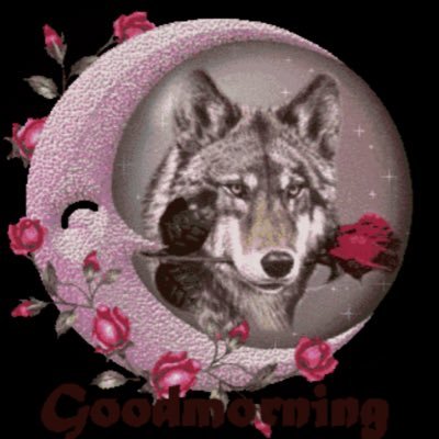 sweetlysilky's profile picture. ˖ ࣪ . .⋆.♡ #shedtwt ᶻ 𝗓 𐰁 any prns ⊹˚ freak of nature ₊˚♱ ifb !! No DNI, I block whoever I feel like blocking!! ⟡.·