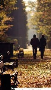 vafa_taheri's profile picture. هر برگ، یه قصه از آرامش