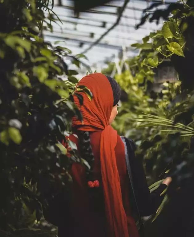 yasamin_golami's profile picture. جایی بین کوه و دریا گم شدم