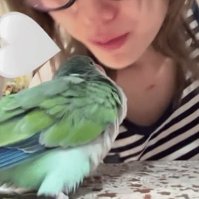 rui_zuo79114's profile picture. 白首如新，倾盖如故    lingorm