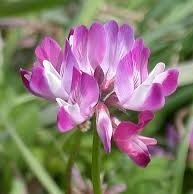 jangyeseo0418's profile picture. 