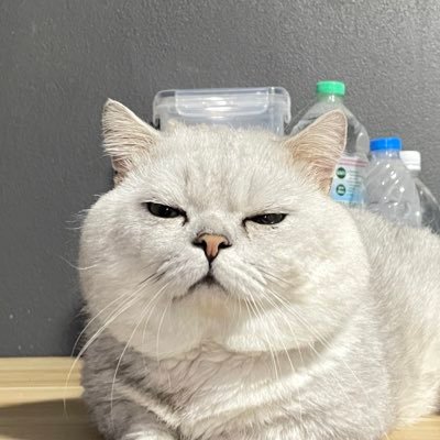 Poppiissss1's profile picture. YinWar & PondPhuwin 😽🫶🏻