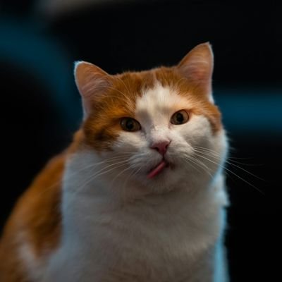 OPositive_Vibes's profile picture. ❌No DMs or you’re blocked.