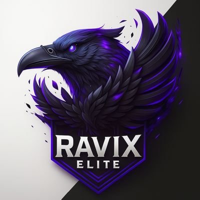 ShwetankPIQOO's profile picture. Currently Working as Chief Strategy Manager at International Federation of eSports & Worked as India's First & World's Youngest CGO at iQOO India.