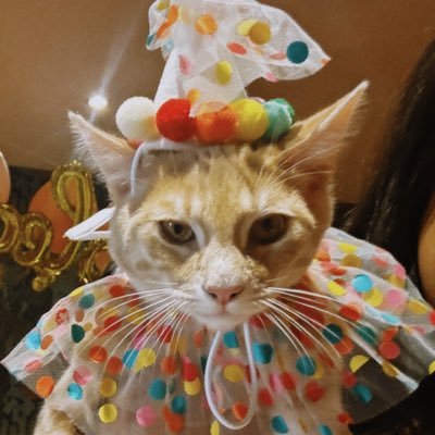 neiomii's profile picture. Fotoperiodista🌞 Restless nomad with hood playlist. Una bad bitch girl de lo’ 90. More issues than Vogue 🩸Todo aquí es personal