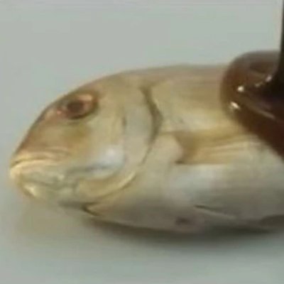 fisheauchoco's profile picture. le fishe au chocolat