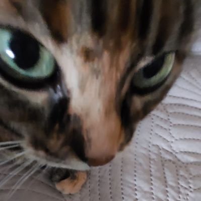 3vxDjx's profile picture. 