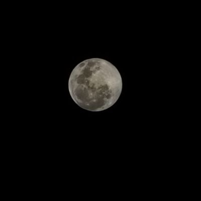 Analisandoaqui's profile picture. futuro ex pobre!
Pix pra isso acontecer 

89c9d269-3bed-4db8-8874-57cf7de85b27