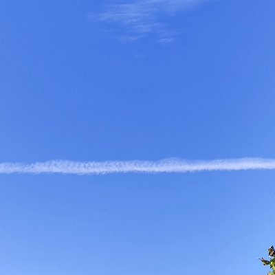 5lgZFkHBPwxAine's profile picture. 