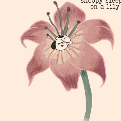 VanessaOGMT's profile picture. หากแม้ทุกอย่างต้องมีวันสุดท้าย แต่ไม่ใช่ความรักของเรา 💖