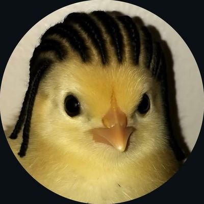 Wright_Saju's profile picture. GET FUTURE INSIGHTS 

DM FOR FREE CONSULTATIONS