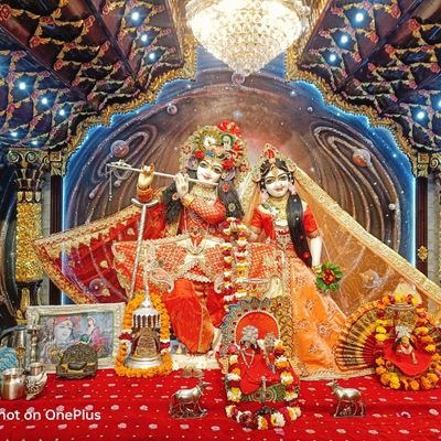 imshivani096's profile picture. 