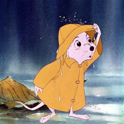 raquel2711yaho1's profile picture. 