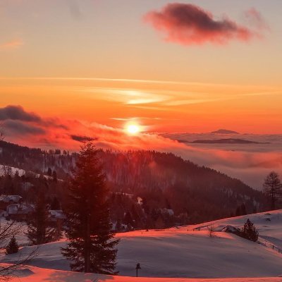 glennonhay4446's profile picture. A page for text lovers