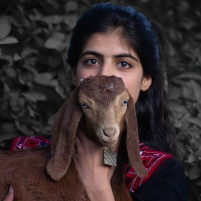 IrfanKhan463511's profile picture. Struggler and a student from balochistan.