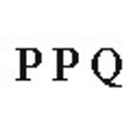 PPQ (@ppqlondon) 's Twitter Profile