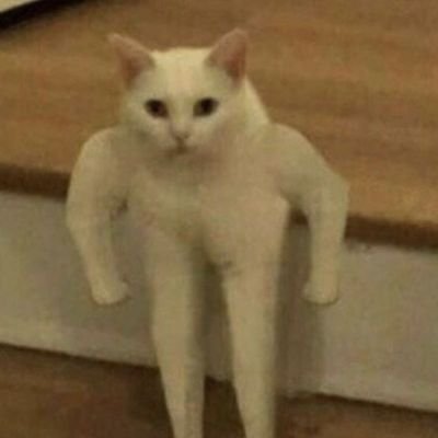 saiteja100's profile picture. 