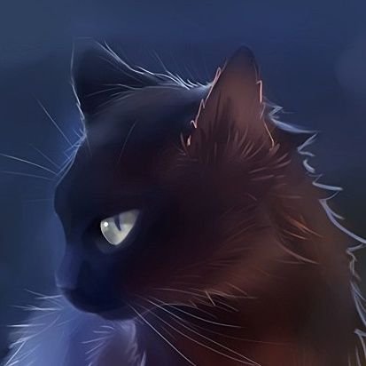 RkbKak's profile picture. 猫好きパパ🐾
２匹の猫ちゃんとオヤジの日常生活を見て下さい🐾

猫好きさん仲良くして下さいね☺️

＃保護猫＃保護猫活動＃猫好き

無言フォローしますが宜しくお願い致します🐾