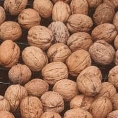 KasmAslan_'s profile picture. 