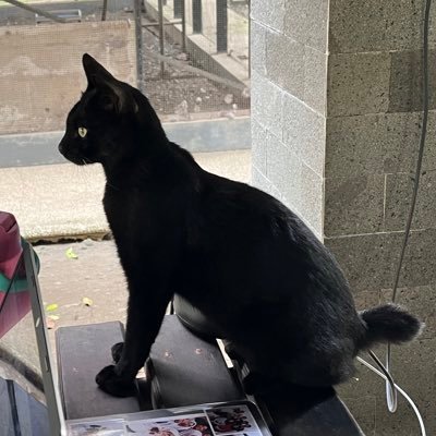 ricezar4's profile picture. 