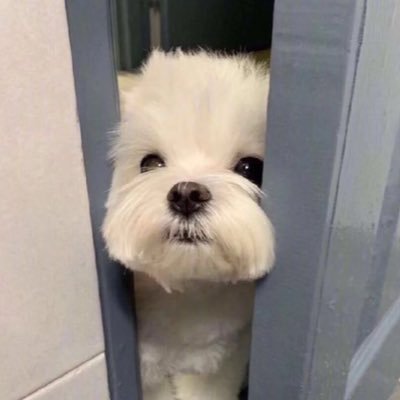 Iovesyc's profile picture. 내일의 예찬이도 행복하게 해줄게