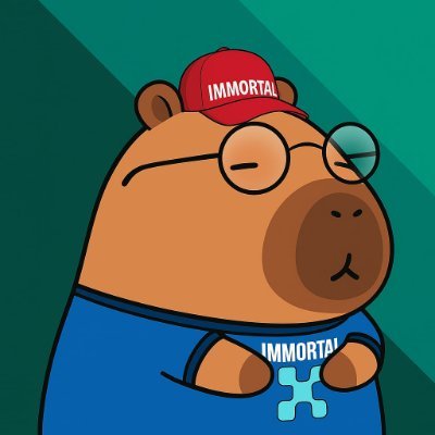 im3mortal's profile picture. Not resting, not fading, everlasting
        In this ever-evolving crypto world, we believe that true value will never be erased by time