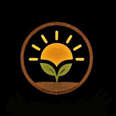 IBN_MOHOR's profile picture. Writer