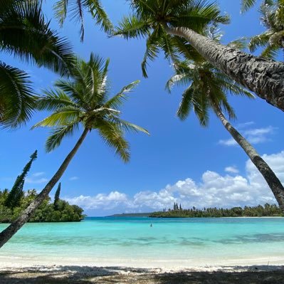 johncdrum's profile picture. 