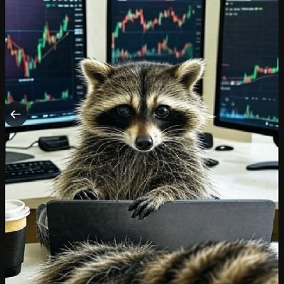 invest_arai's profile picture. もっとおかねがほしいのだ！！ このアカウントでは、株式投資についての戦略、手法、考え方を発信して、意見交換していくのだ
 #運用レポート  #アライさん株式