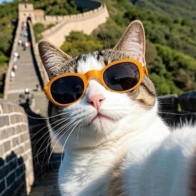 TailormadeGod's profile picture. Frontend Web Developer