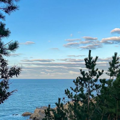 KnellerL36631's profile picture. I get a refill on my coffee?