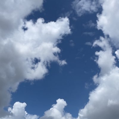 kococodes's profile picture. @StreetGrillsng •| 👩🏾‍💻 •| reader •| writer •| manutd