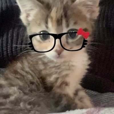 estudosblog's profile picture. mesmo depois de sair do repouso, a energia cinética ainda é igual a zero