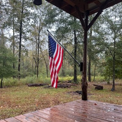 zZZ_____oO0's profile picture. 