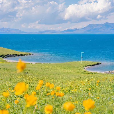 SmithR55125's profile picture. 355. When you’re trying to take a selfie, and your pet steals the spotlight. 📸🐱