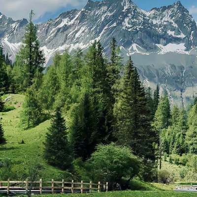 CalleVan176036's profile picture. I'm documenting family recipes to preserve them for future generations