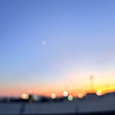 lala91217295's profile picture. 🎬watch movies, listen to music, love art and smile at every animal I meet 🐾
Sorry for the silent follow🙏