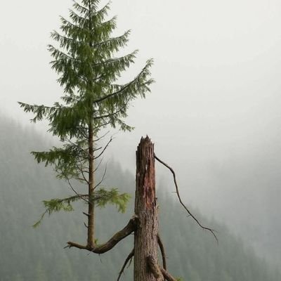 biswapraka31292's profile picture. Devotee of lord Jagannath 🙏 Jai Jagannath ✨️